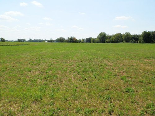 Property photo 5 - 63.5 +/- Acres Offered in 3 Tracts - Real Estate Auction